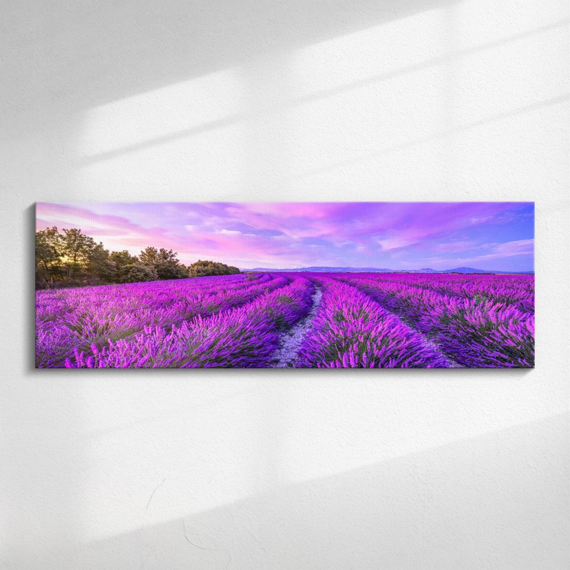 Lavender Field Panorama | Panoramic canvas wall art, wide scenic Lavender landscape