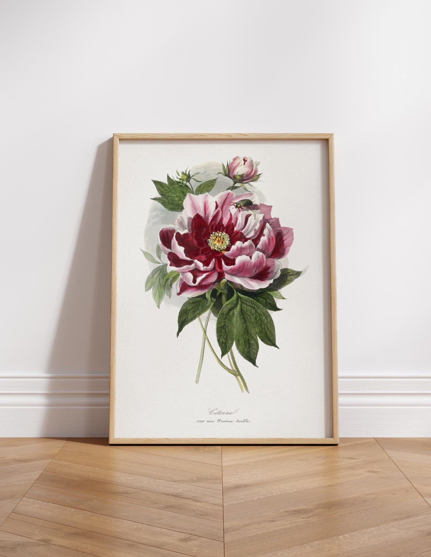 Vintage peony flowers canvas wall art or poster print for Mother's Day gift. Mum bedroom picture, present for Mom. Victorian painting