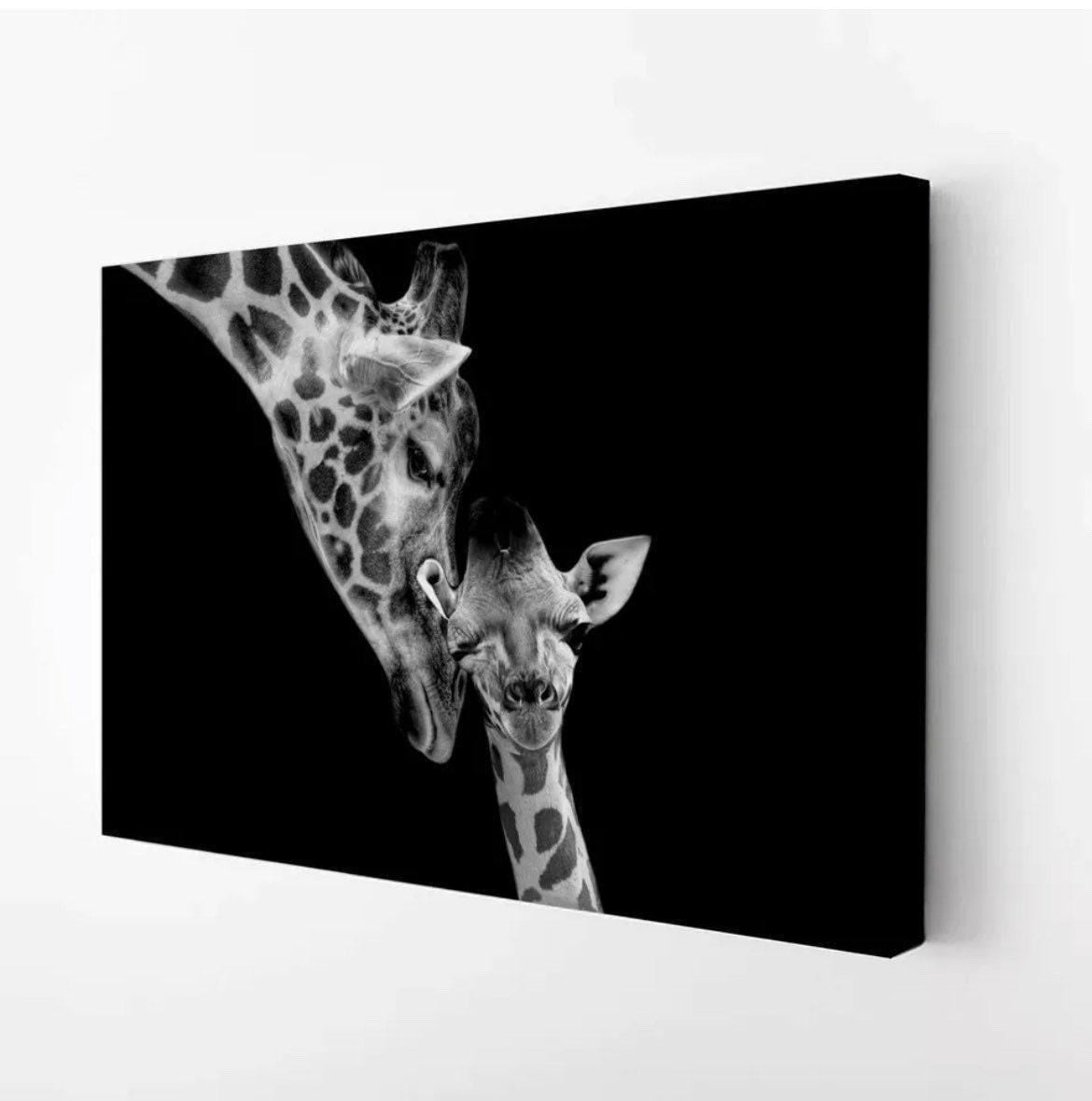 Giraffes Mum and Baby
