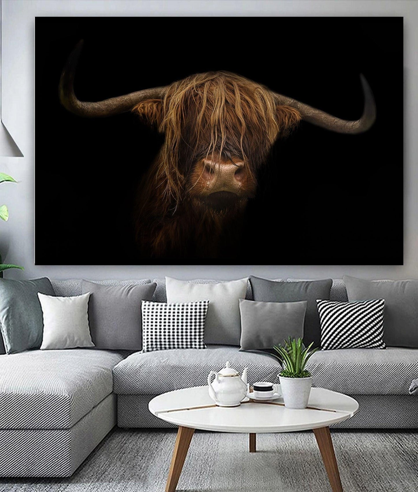 Scottish Highland Cow Face