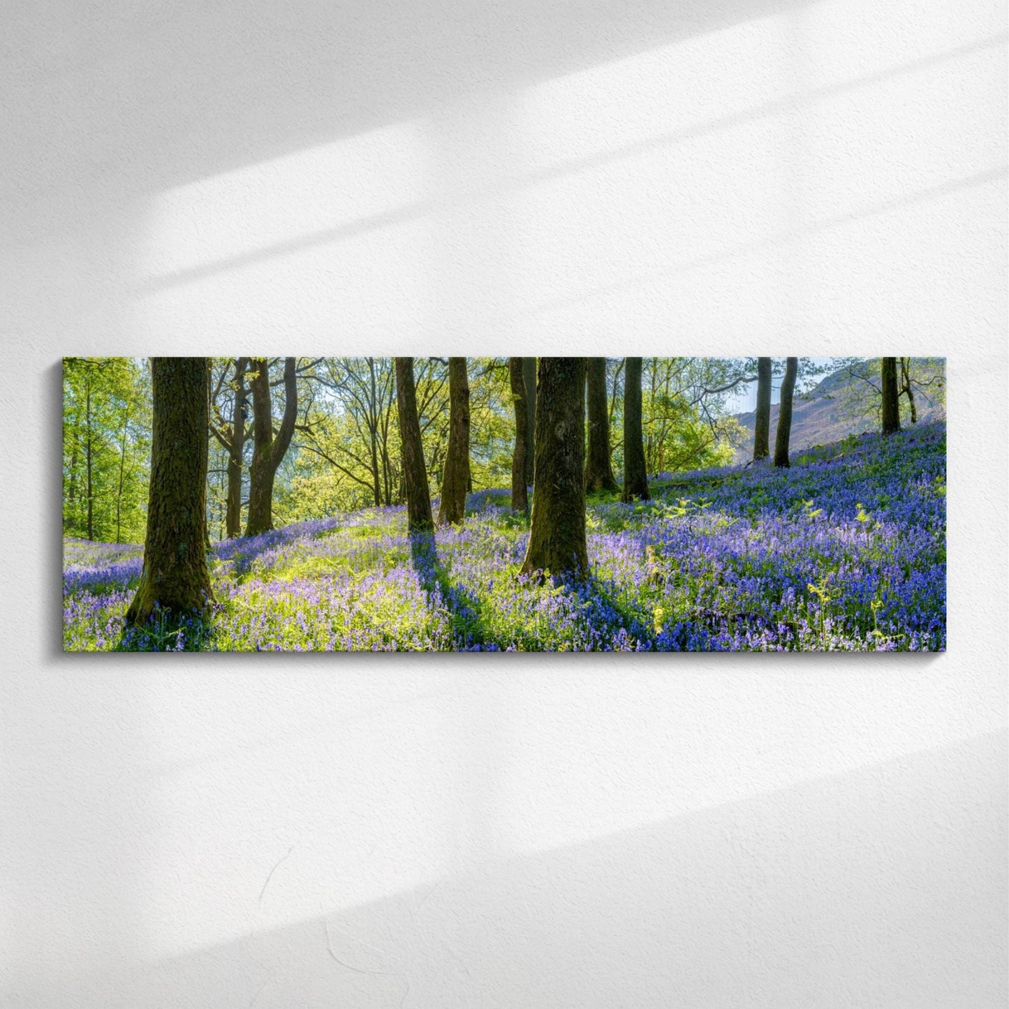 Bluebell Panoramic forest canvas wall art. Wide-Angle Landscape Canvas Print – Scenic Vista WallArt in Horizontal Format, perfect for living room