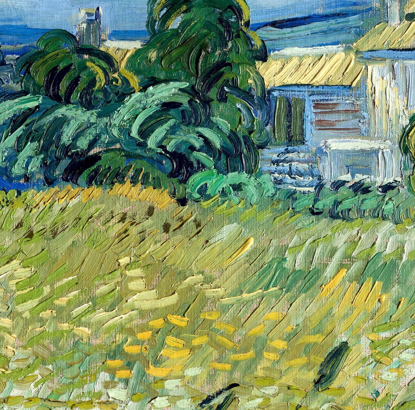 Van Gogh Green Wheat Field