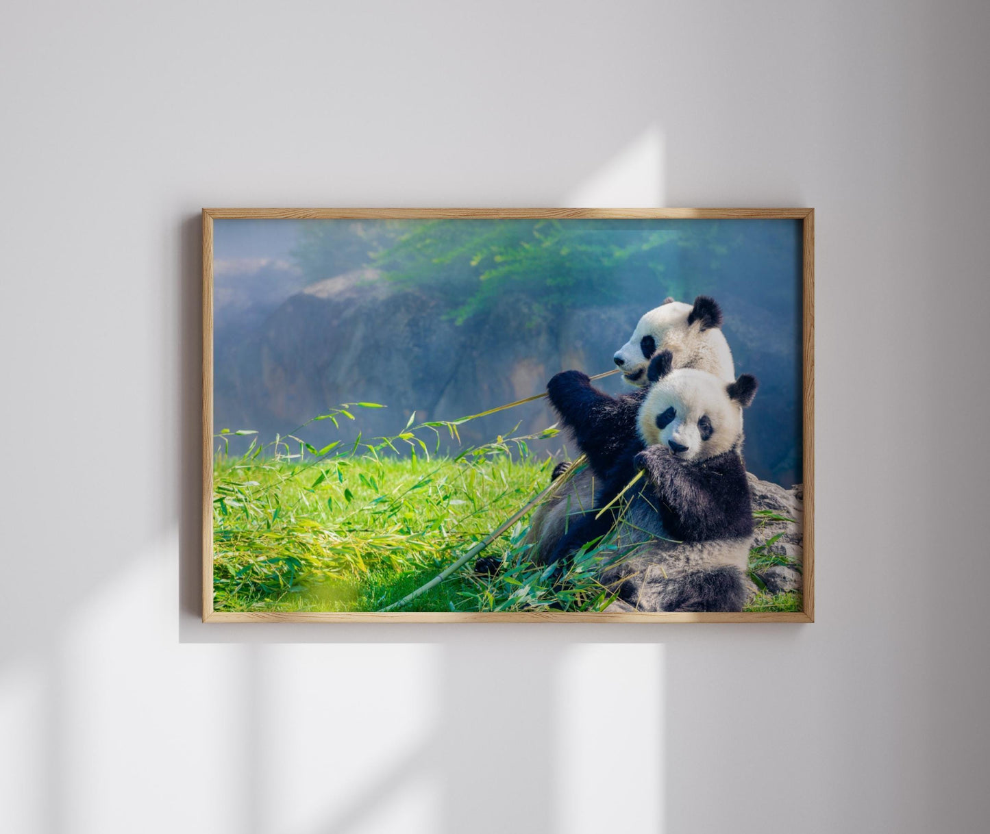 Cute panda canvas wall art or poster print. Mother and baby panda photograph canvas wallart. Cute panda photo picture for panda huggers and animal lovers.