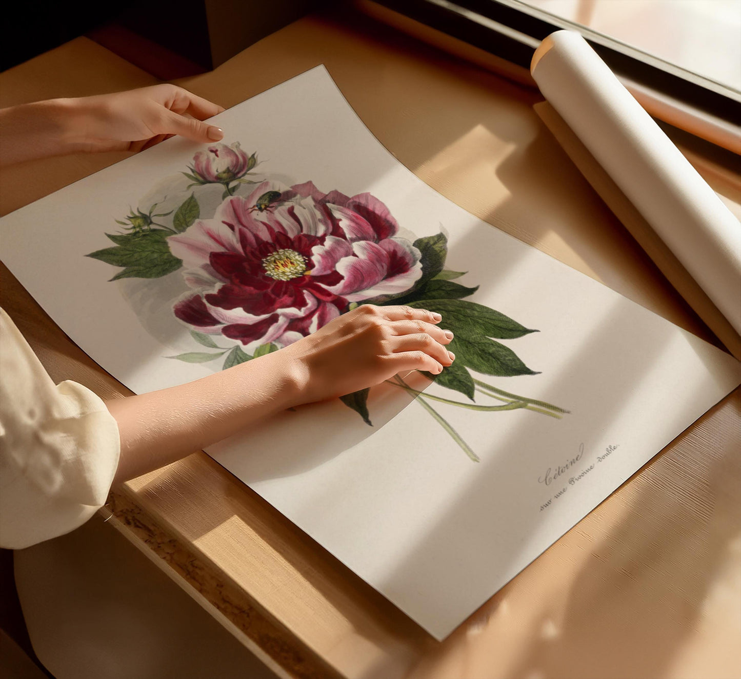 Vintage peony flowers canvas wall art or poster print for Mother's Day gift. Mum bedroom picture, present for Mom. Victorian painting