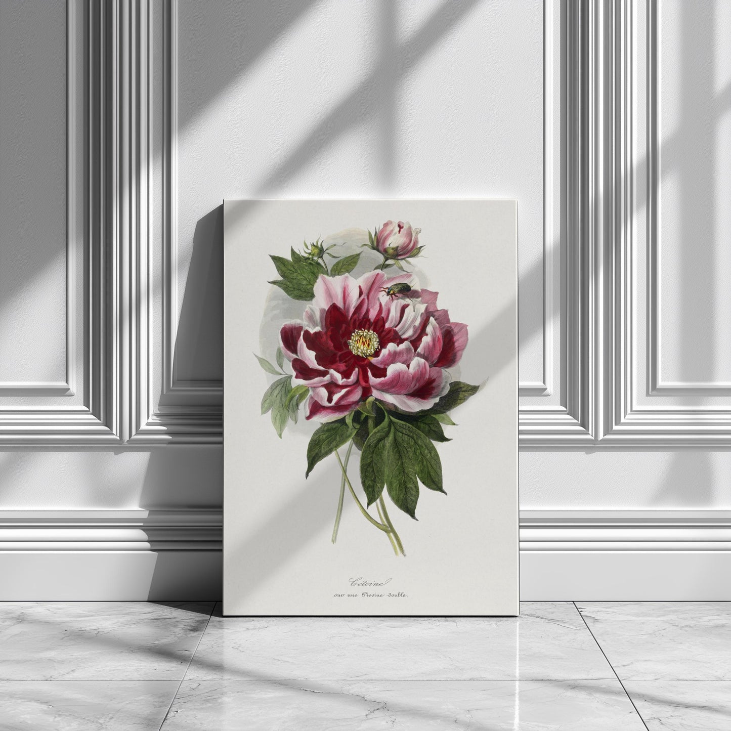 Vintage peony flowers canvas wall art or poster print for Mother's Day gift. Mum bedroom picture, present for Mom. Victorian painting