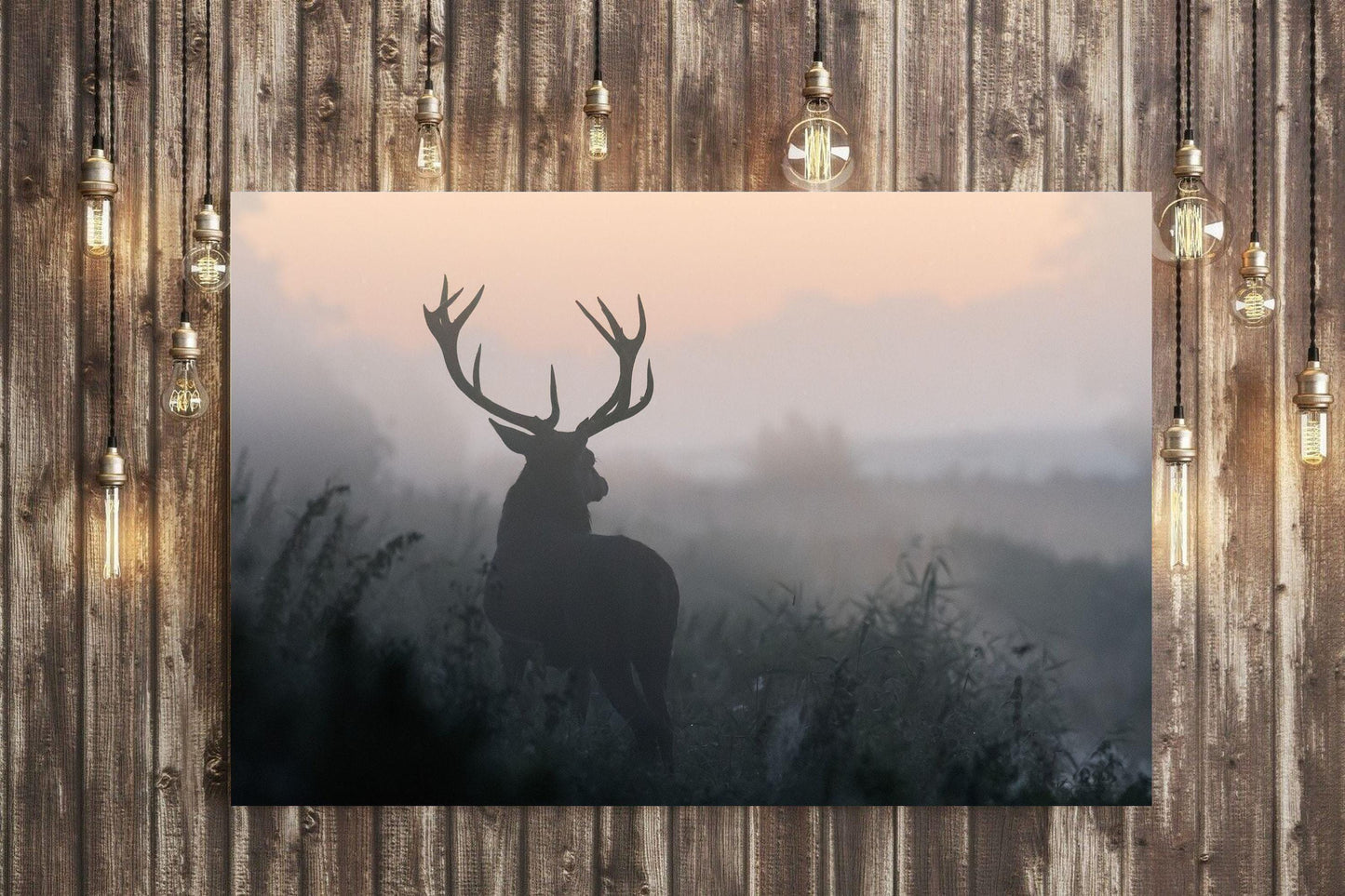 Stag in the Mist
