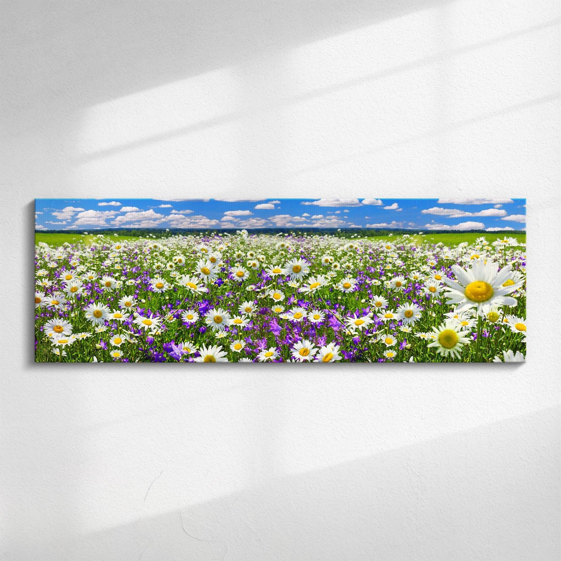 Field of Daisies Panorama canvas wall art, wildflower meadow