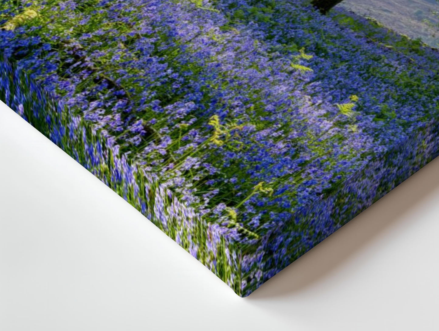 a painting of a field of purple flowers