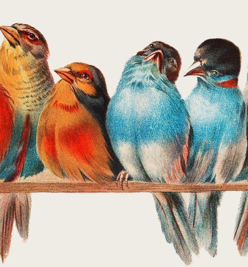 Vintage Birds
