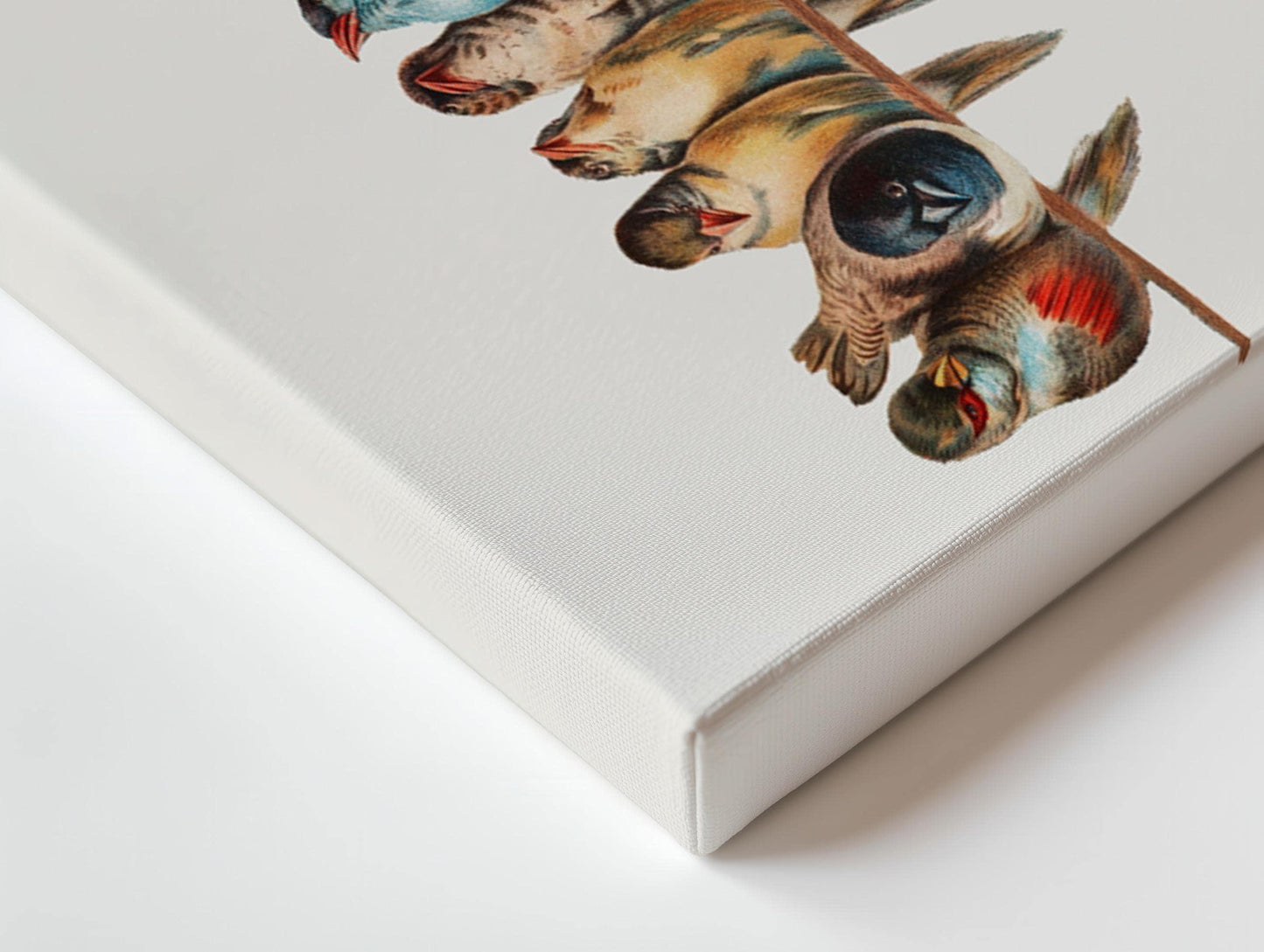 Vintage Birds