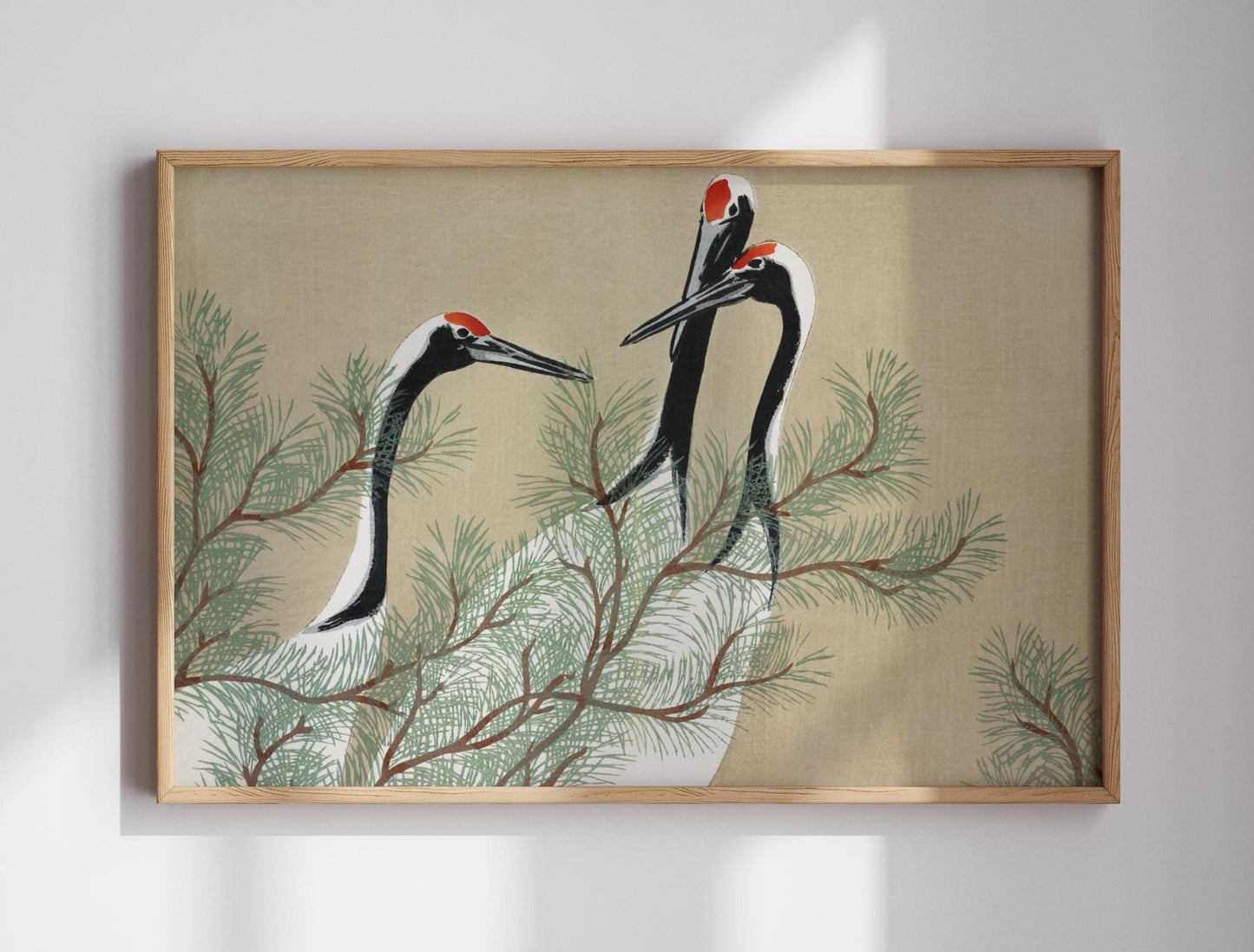 Set of 5 Japanese Gallery