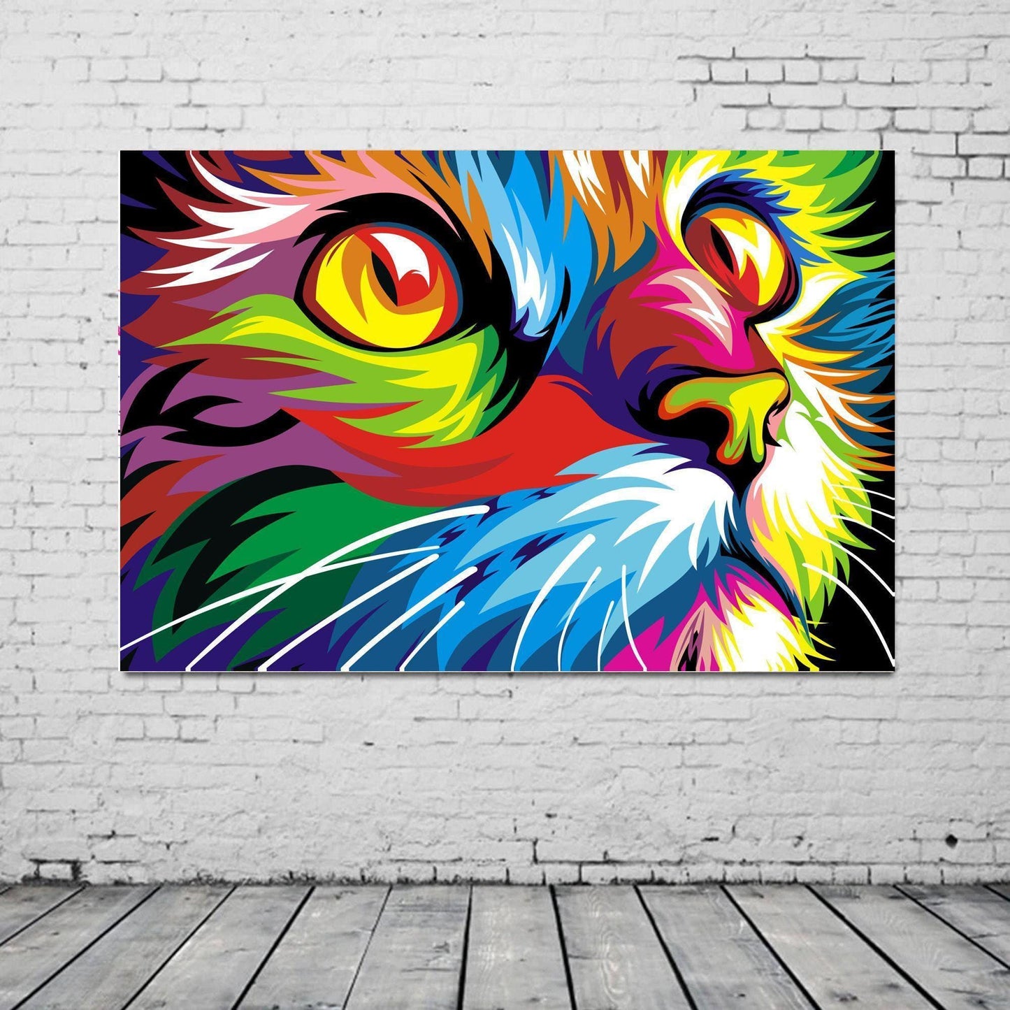 Colourful Cat