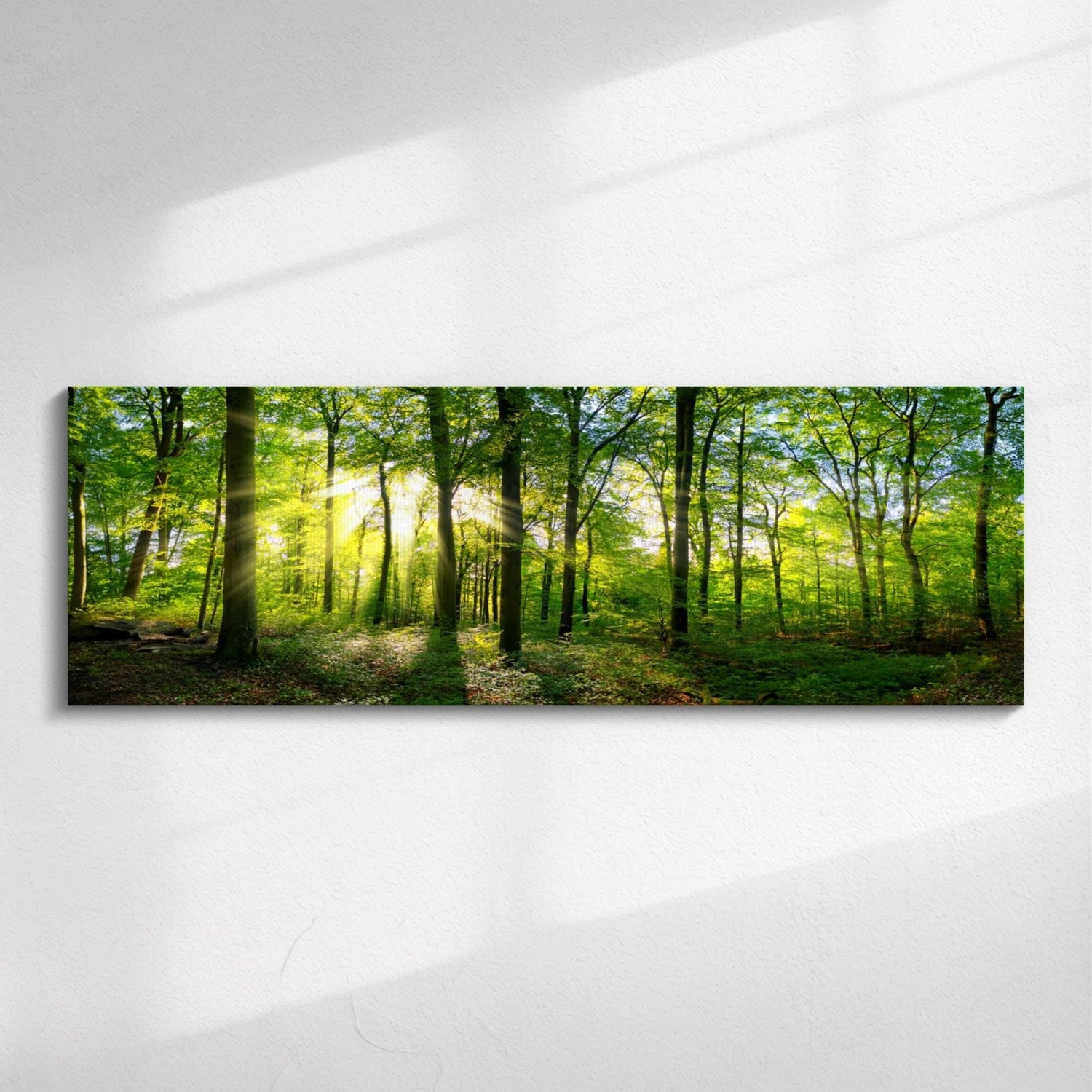forest panoramic canvas
