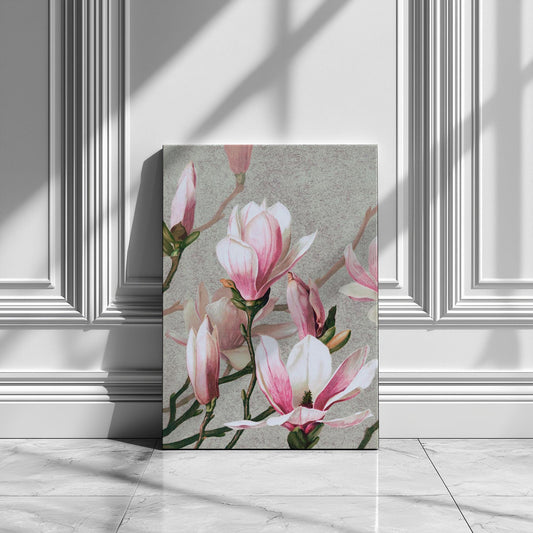 Pink Magnolias art printed poster or canvas wall art. Botanical magnolia vintage picture, pink and grey canvas artwork, floral flowers art