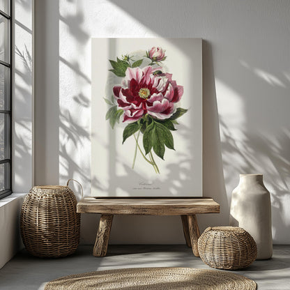 Vintage peony flowers canvas wall art or poster print for Mother&#39;s Day gift. Mum bedroom picture, present for Mom. Victorian painting