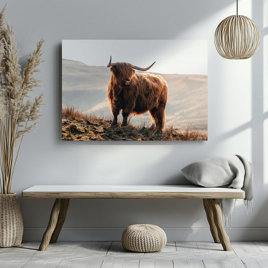 Scottish Highland Ginger Cow in Sunshine Canvas Wall Art or Print Poster. Highland Cow in Summer. Quality Large Canvas Photo Printed.