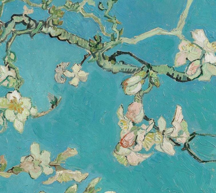 Panoramic Van Gogh Almond Blossoms