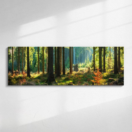 Autumn Forest Panorama