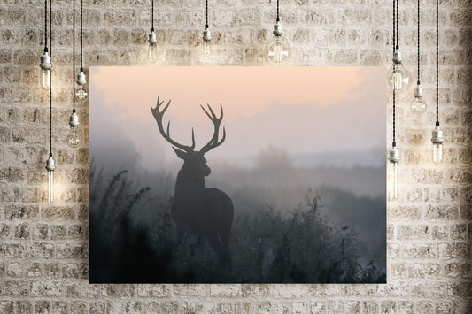 Stag in the Mist