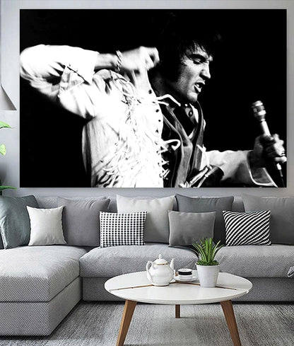 Elvis Presley on Stage
