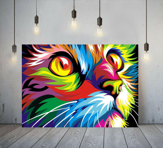 Colourful Cat